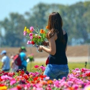 Meet your Posher, @Mir